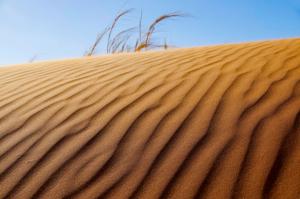 Namibia desert