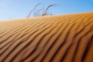 Namibia desert