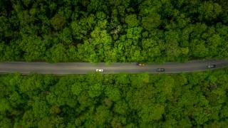 Aerial view of cars on a road surrounded by trees