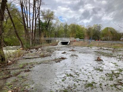 Melrose Terrace floodplain after flood event