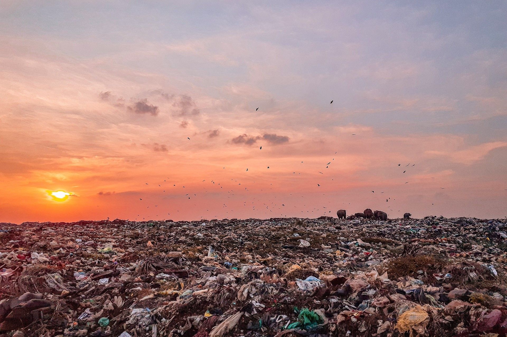 SLR at Global Waste Management Symposium