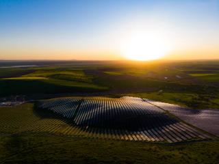 Field of solar panels