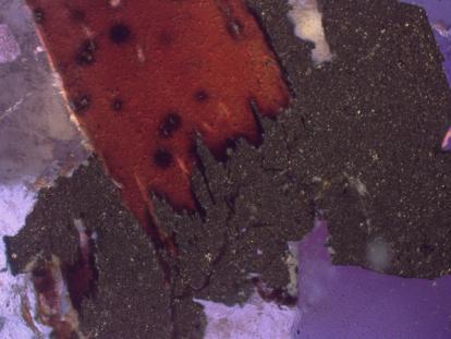 biotite and pyrite in granite 10x XPL RL