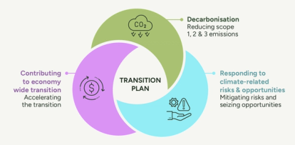Transition Plan diagram