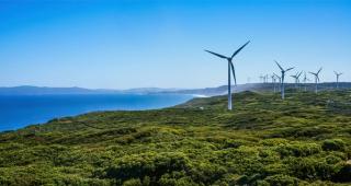A wind farm on a hillside overlooking the ocean