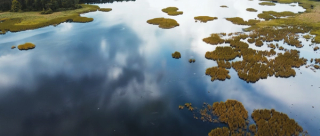 Aerial view of lush forest with lake 