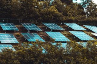 Solar panels in field