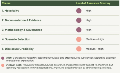Our findings on the levels of assurance scrutiny table