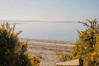 Flowers and the seaside