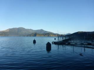 Aquaculture New Zealand