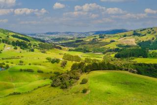 Aerial of Dunedin town and Otago Bay in New Zealand