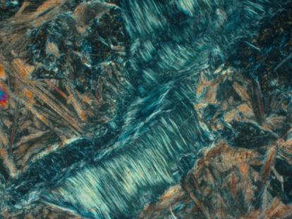Fibrous actinolite in gabbro 10x xpl