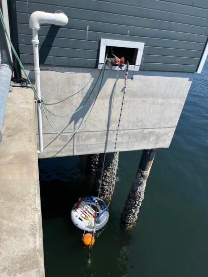 Deployment of acoustic monitoring equipment on water
