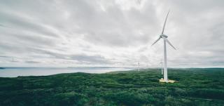 Wind turbine with ocean and forest background