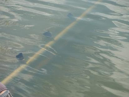 Installed diffuser section in body of water