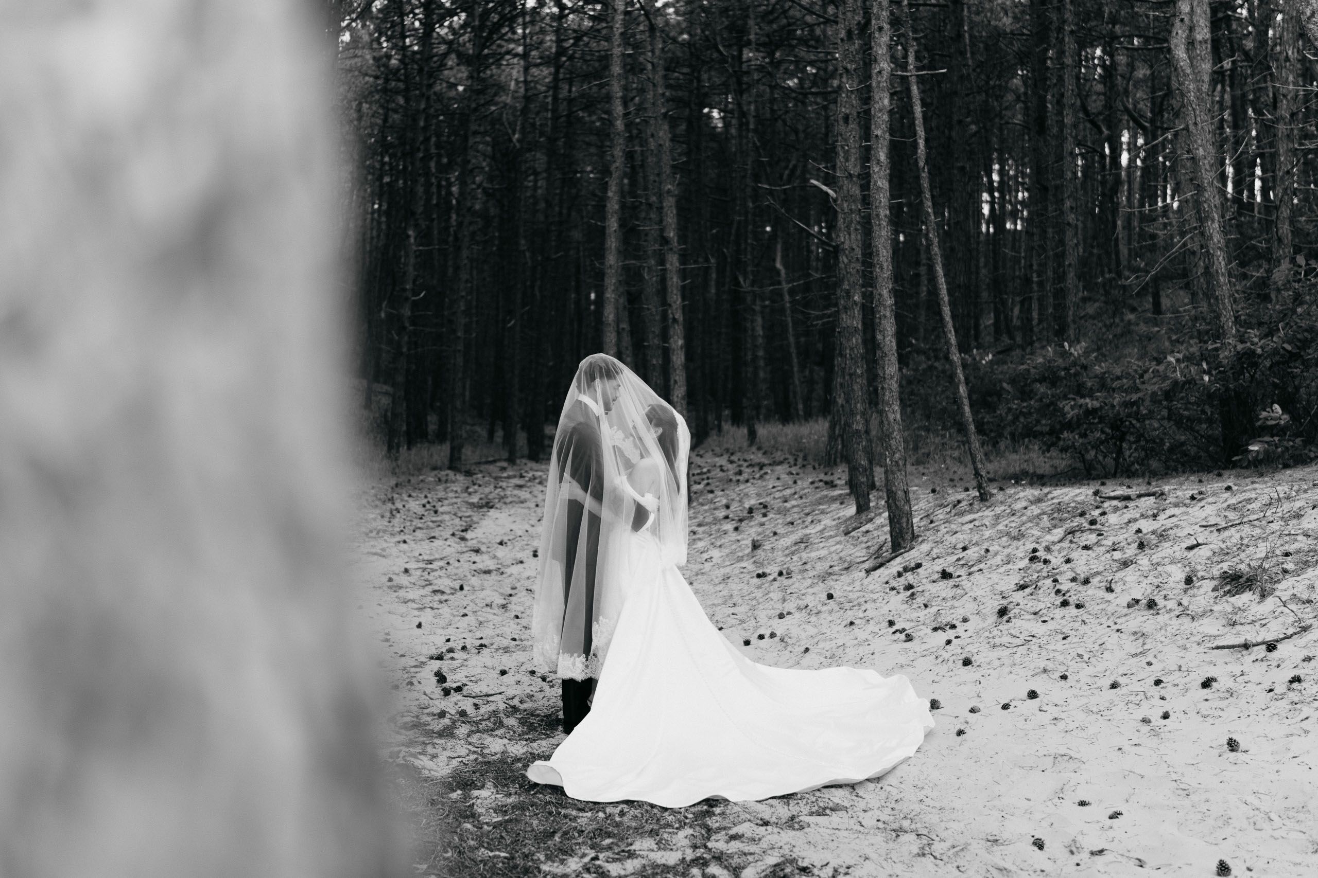 Black and white wedding portrait of a bride and groom beneath the veil in the forest at Schoorlse Duinen, Netherlands.