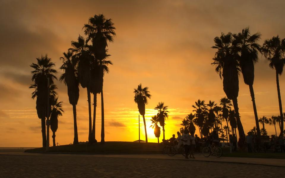 Palm trees and people along the Venice Beach promenade at sunset.