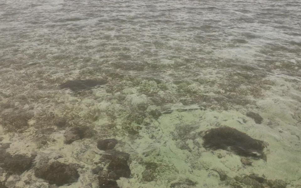 Clear shallow seawater rippling over sand and dark rocks in the Maldives.