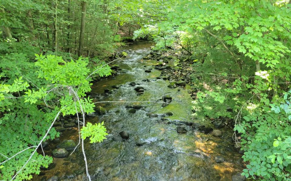 The Manhan River in Southampton, Massachusetts, bordered by summer trees.
