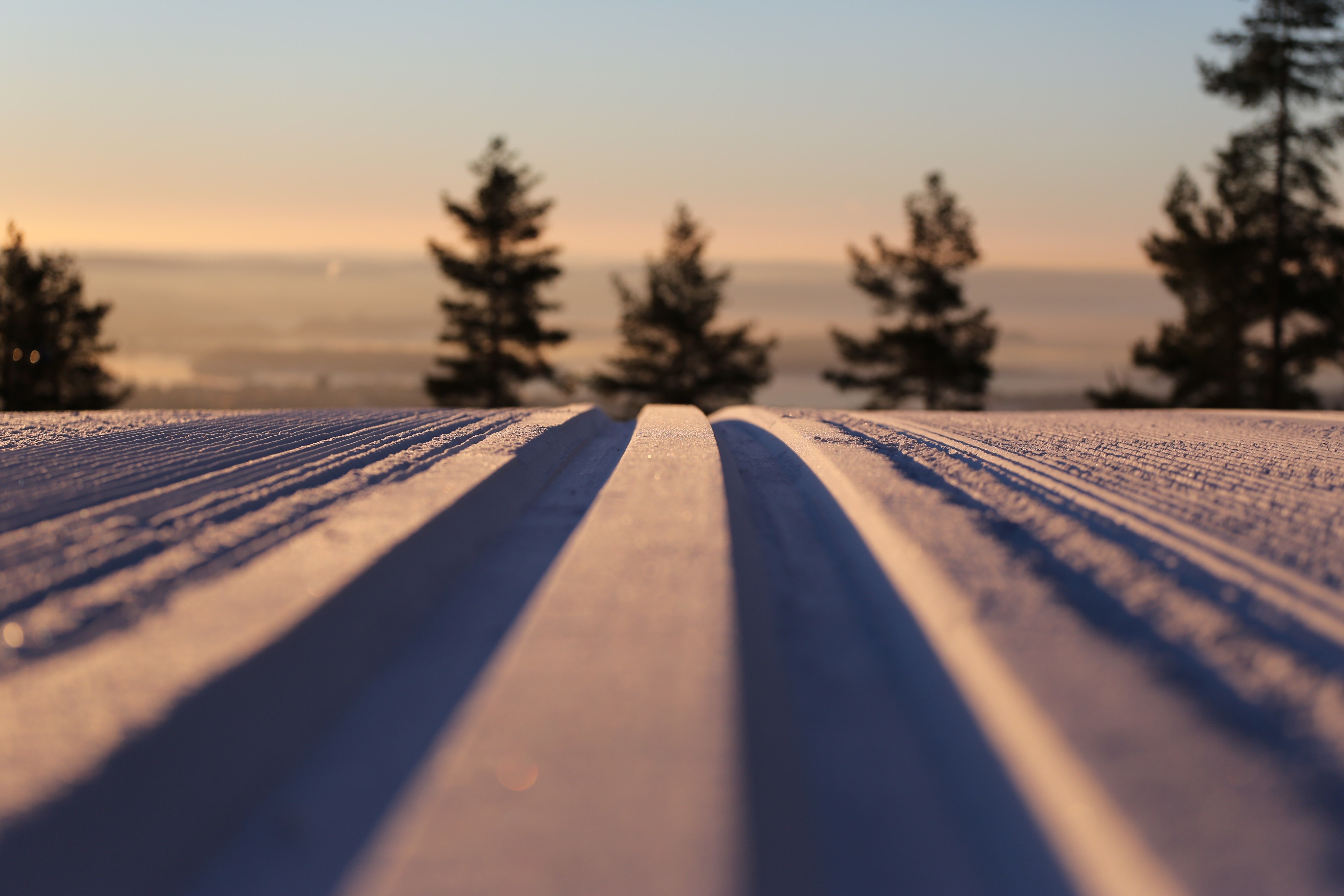 Et nærbilde av en skiløype med trær i bakgrunnen.