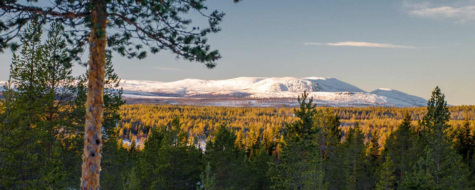 View from the cabin towards the mountain Molnet