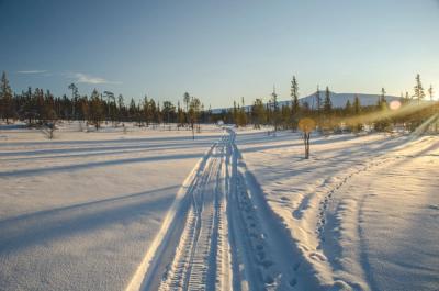 In the cross country ski track