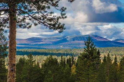 Utsikt mot Molnet, sommar