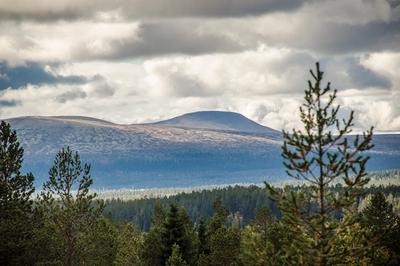 Utsikt mot Städjan, sommar