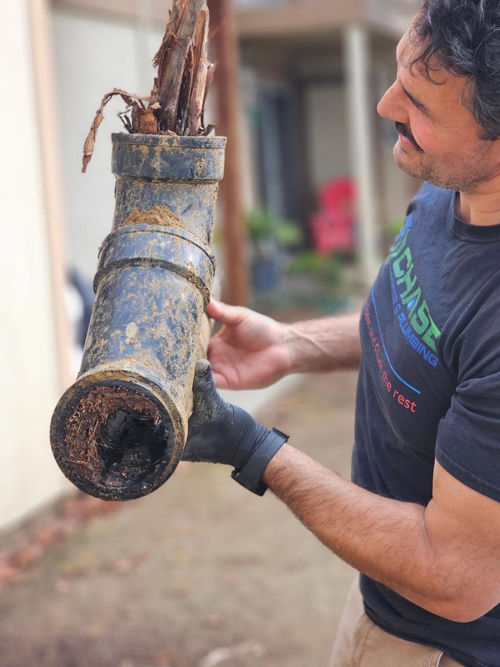 A Chase Rooter & Plumbing technician holding a root-clogged sewer fitting pulled from a customer's line.