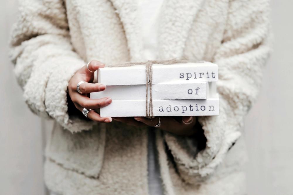 Adoption — a consultation with Ann Fabrikant