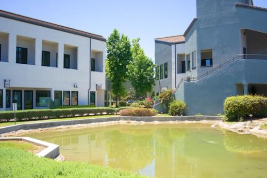 there is a pond in the middle of a building .