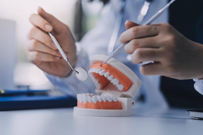 a dentist is examining a model of teeth with dental instruments .