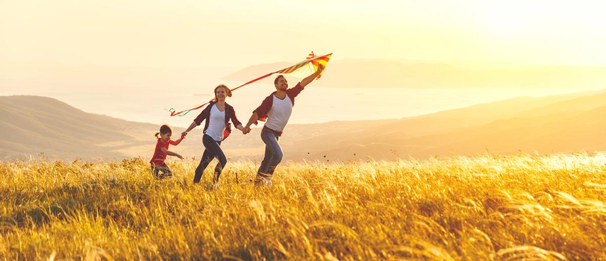 a family is flying a kite in a field at sunset .