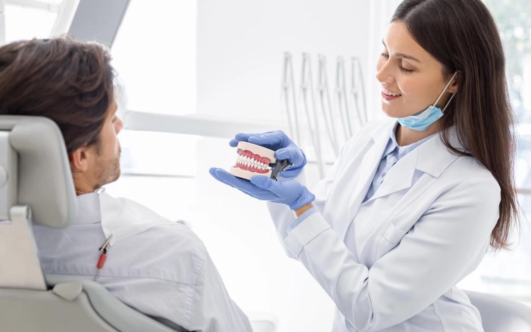 a female dentist is showing a patient a model of teeth.