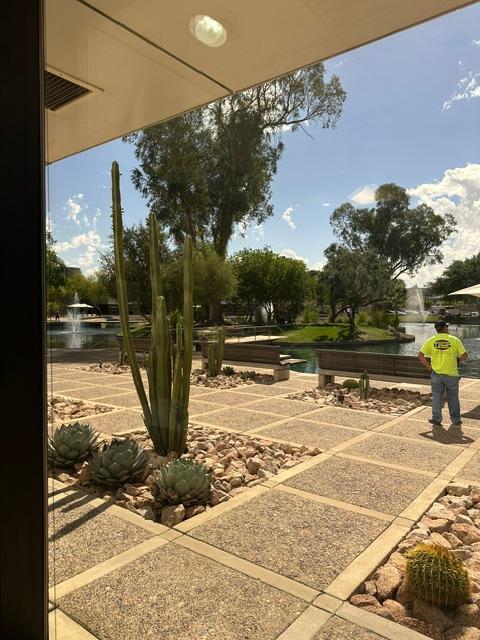 a man wearing a yellow shirt that says ' arizona ' on it
