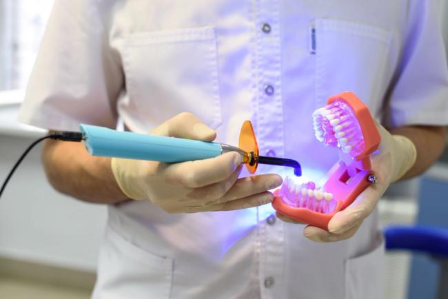 a dentist is holding a model of a mouth and a light .