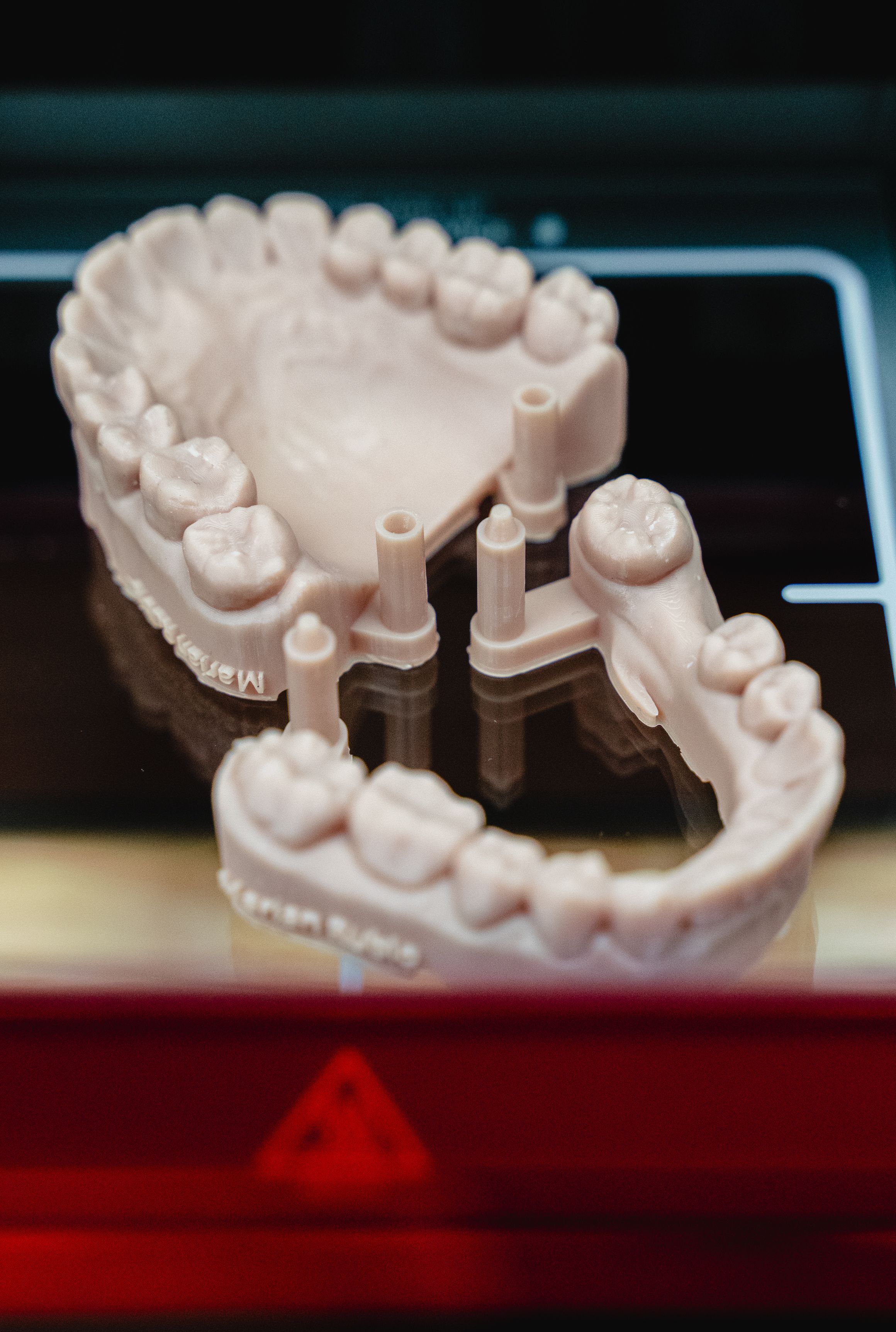 Light pink 3D-printed dental model of a jaw with teeth and support posts.