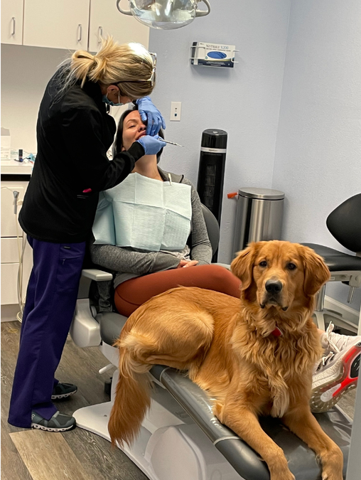 a woman is getting her teeth examined by a dentist while a dog sits on a dental chair