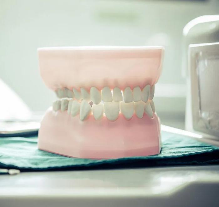 a model of a person 's teeth is sitting on a table in a dental office .