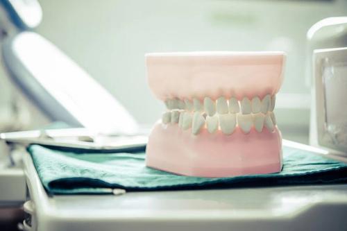 a model of a person 's teeth is sitting on a table in a dental office .
