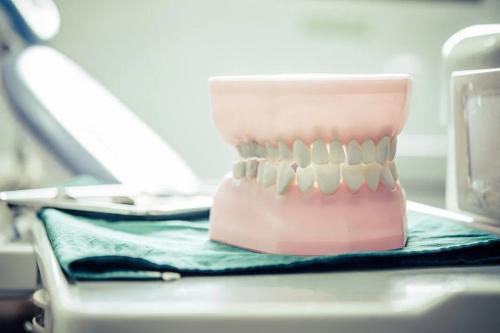 a model of a person 's teeth is sitting on a table in a dental office .