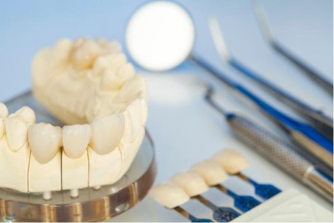 a model of teeth and dental instruments on a table .