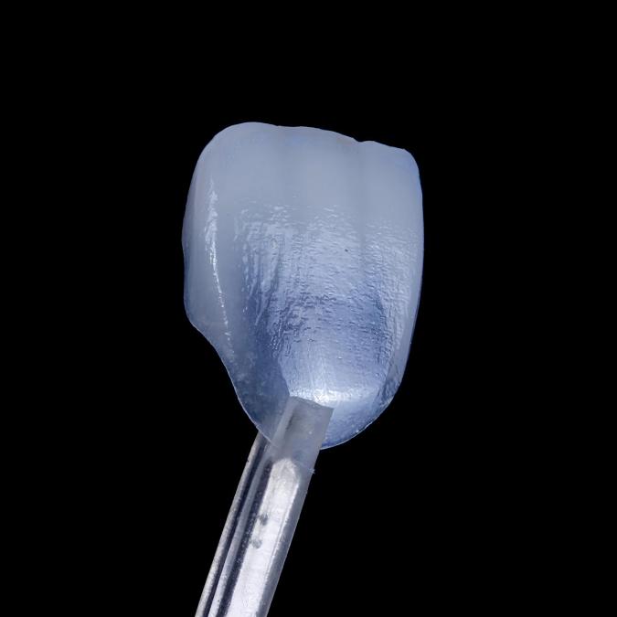 a close up of a tooth on a pair of tweezers on a black background .