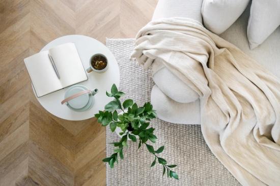 a living room with a couch , a table , a plant , a book and a cup of tea .