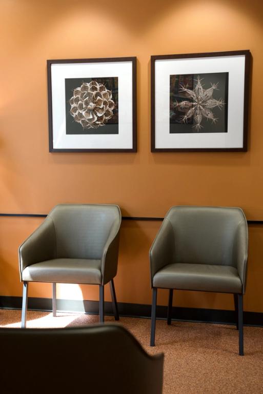 A waiting room with an orange wall, two framed abstract plant artworks, and two gray armchairs.