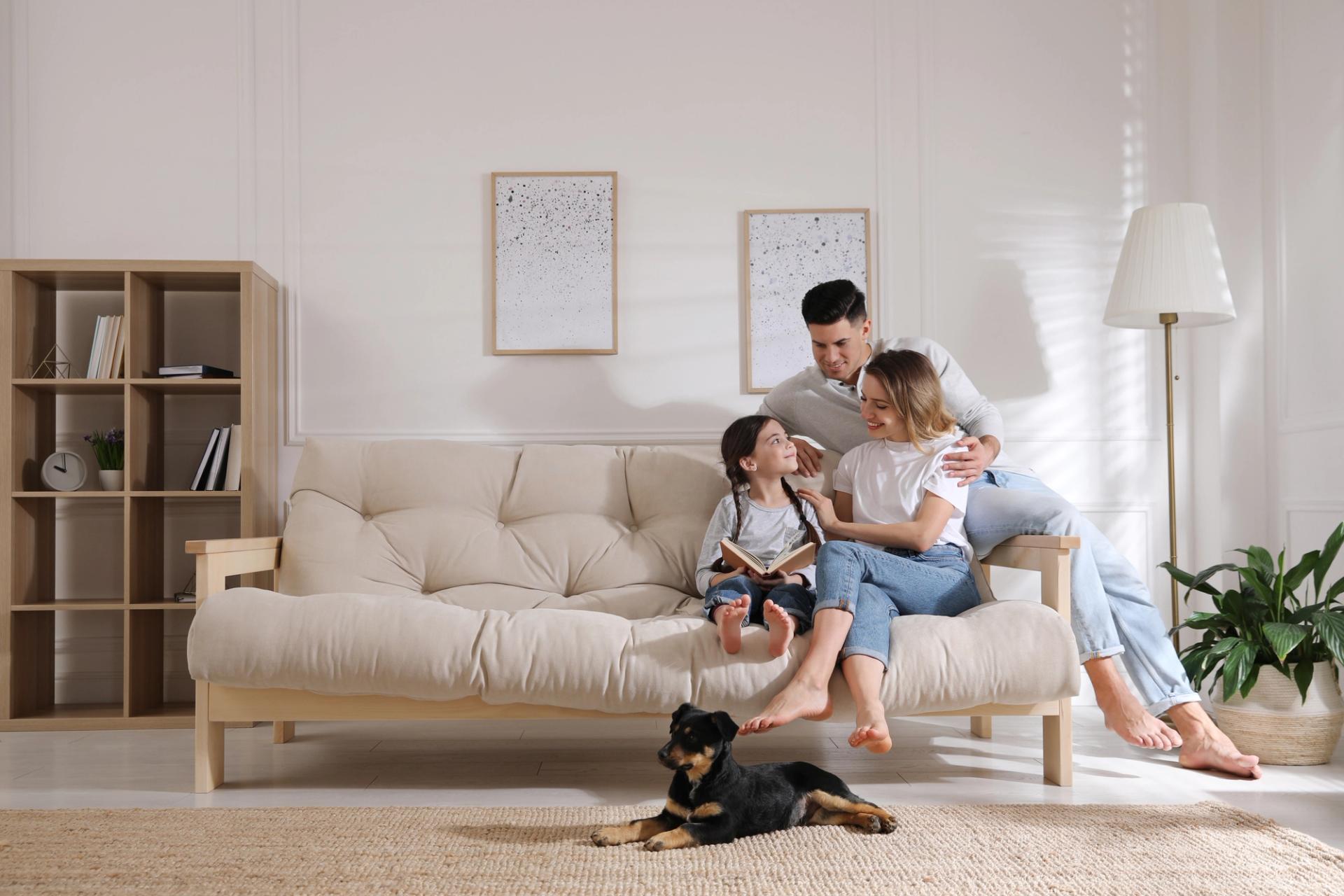 a family is sitting on a couch in a living room with a dog .
