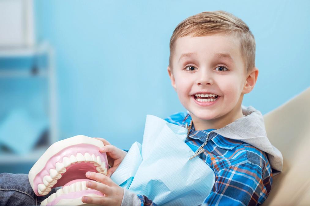 Smiling boy in a dental chair, holding a tooth model.