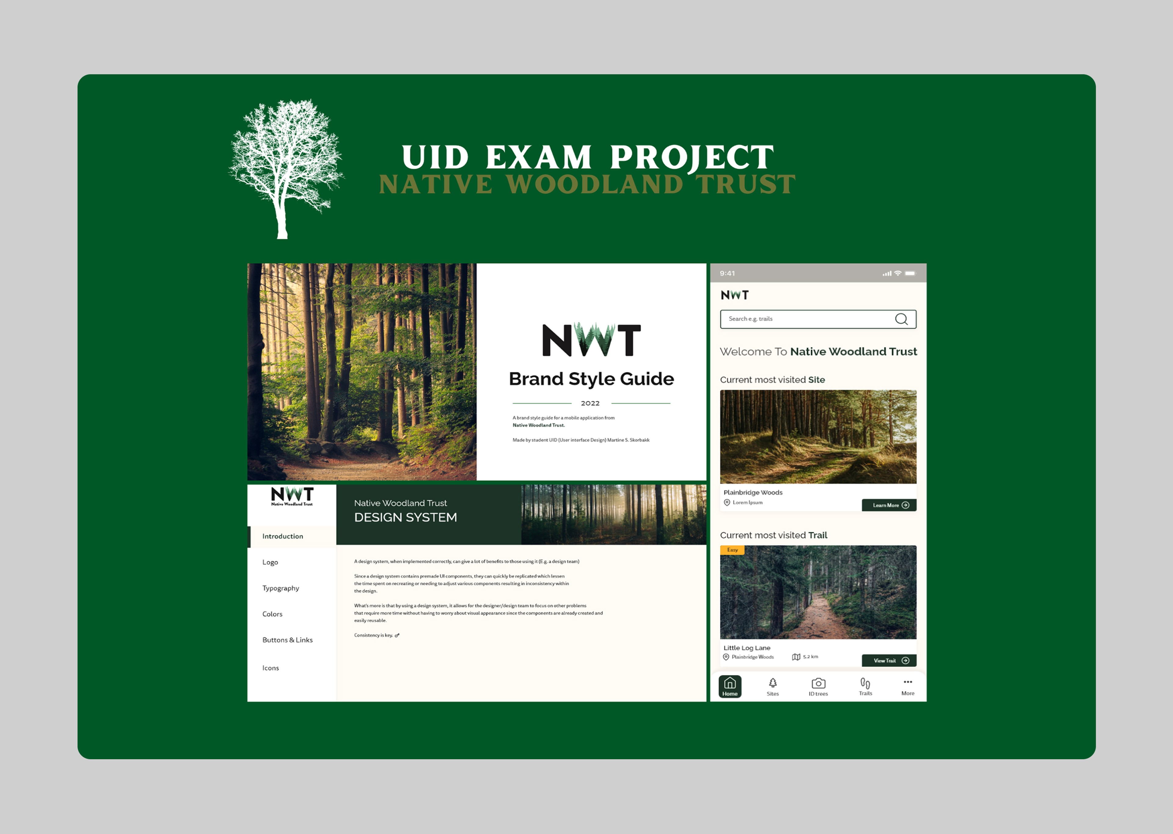 nwt-app-concept-ux-ui