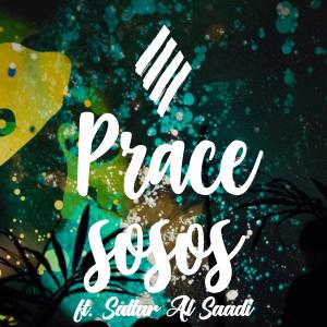 Cover image for SOSOS