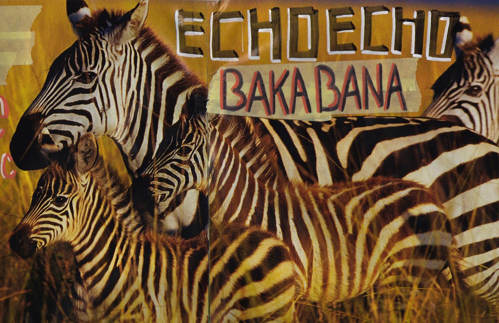 1c043ad1006fb4ec2ca34009519b6892481c64df-2048x1328